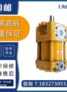 上海航发NB4-G40F G50F G63F NB5-G80F G100F G125F内啮合齿轮泵