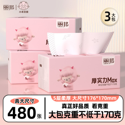 丽邦抽纸卫生纸家用实惠装纸巾纸抽整箱餐巾纸面巾纸大包480张