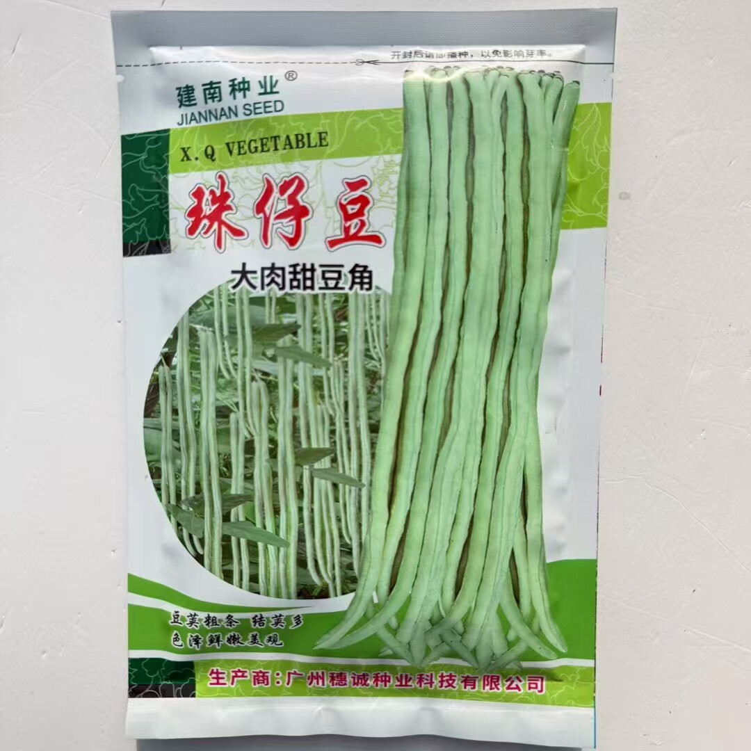 广东珠仔豆厚肉甜豇豆种子脆爽厚肉高产抗病耐老商品性佳春夏播