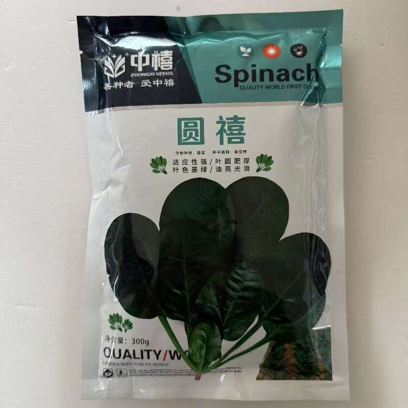 圆禧菠菜种子耐寒圆叶菠菜种籽基地专用黑叶菠菜