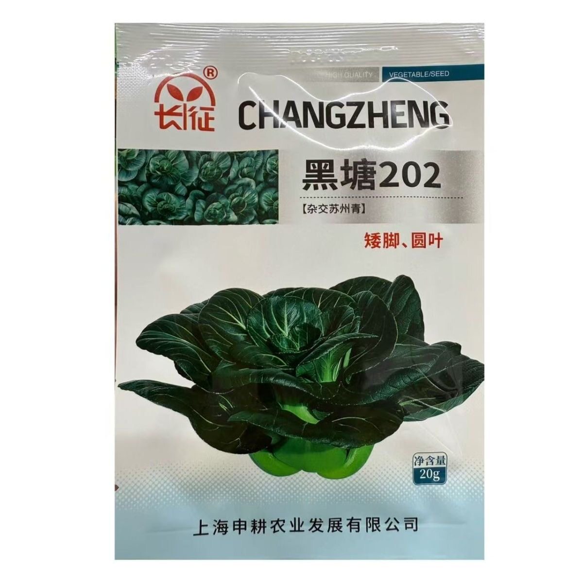黑塘202青菜种子矮脚圆叶耐寒耐热抗病抗逆性强