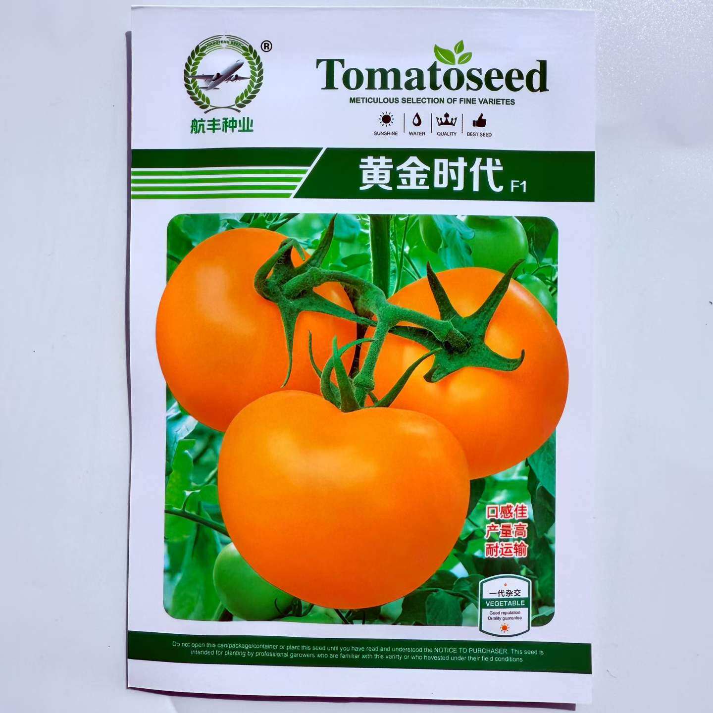大果黄皮番茄种子黄金时代番茄种子F1高产抗病耐运输蔬菜种子