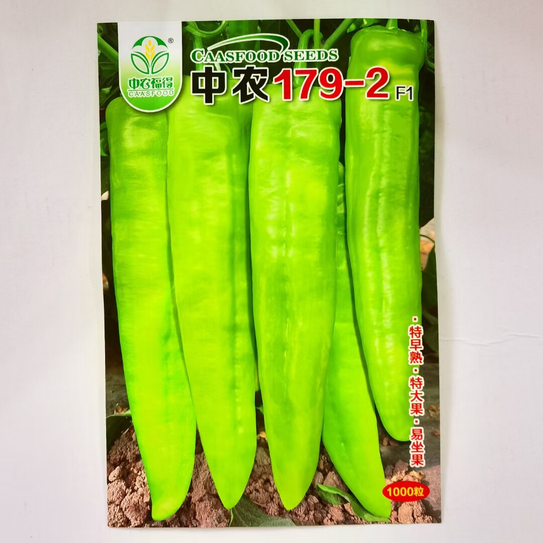 中农179-2牛角椒种子大果青椒辣椒种籽微辣高产蔬菜种子四季春
