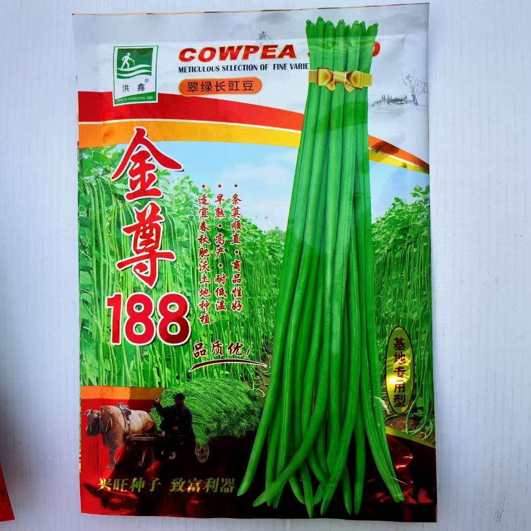 金尊188豇豆种子早中熟耐热肉厚双荚率高春夏秋季