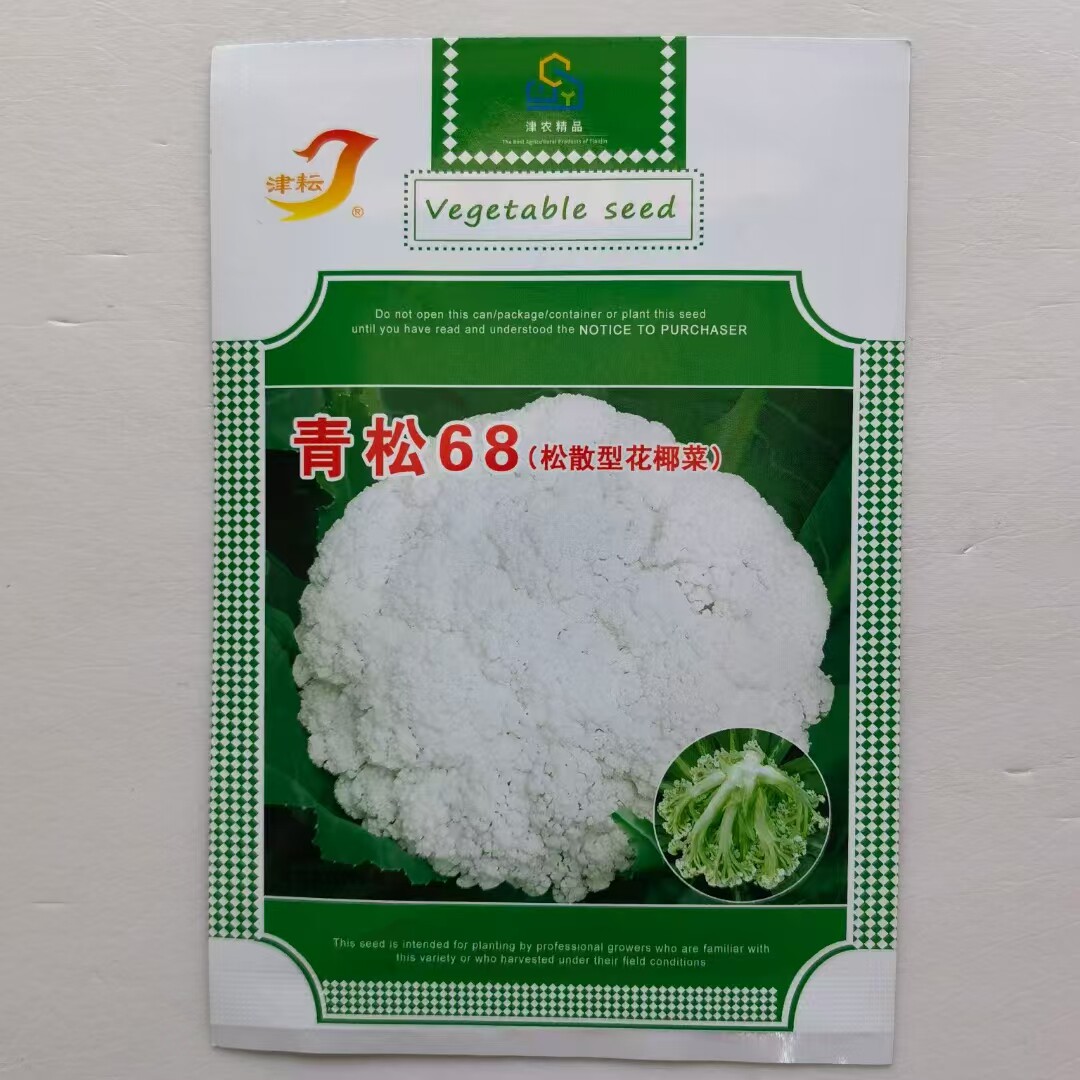 青松青梗松花菜种子中熟白花菜种子杂交有机散花菜种子