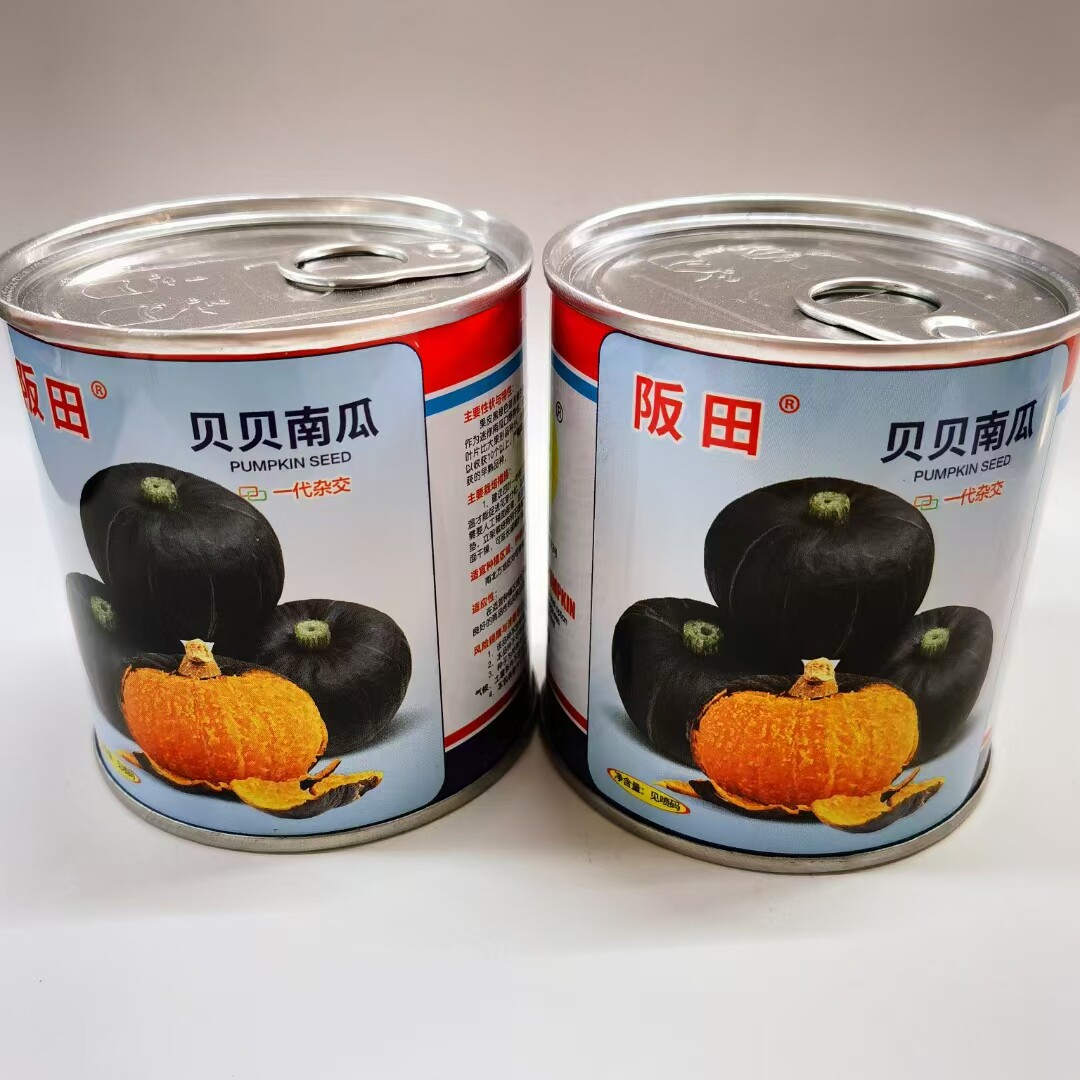 贝贝南瓜种子粉糯香甜板栗日本小南瓜基地
