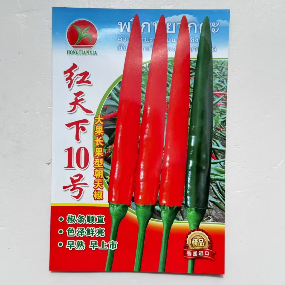 红天下10号朝天椒种籽一代杂交单生朝天椒种子抗病高产辣椒种