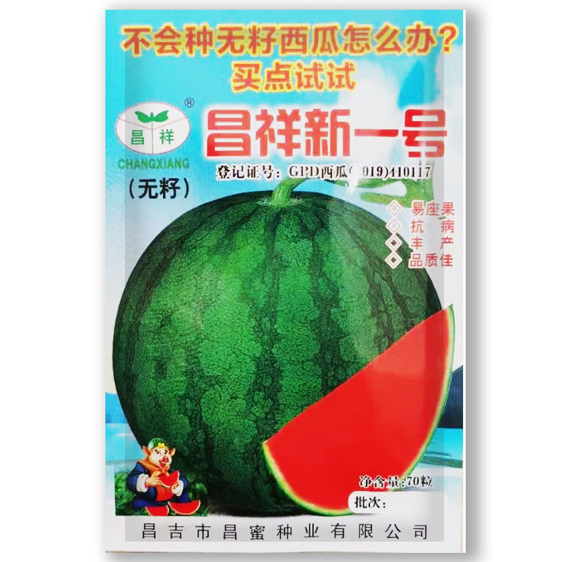 昌祥新一号无籽西瓜种子易座果抗病丰产品质佳基地专用种子