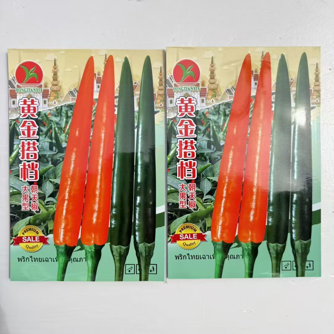 黄金搭档朝天椒种子硬度好油亮型早熟大号朝天辣椒