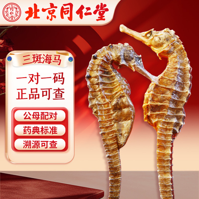 北京同仁堂 三斑海马 一公一母中药饮片中药材泡酒煲汤正品可溯源