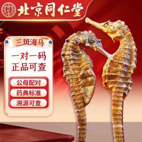 北京同仁堂 三斑海马 一公一母中药饮片中药材泡酒煲汤正品可溯源