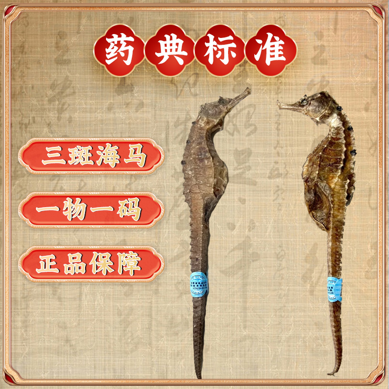 京皖三斑海马补肾温阳中药材中药饮片
