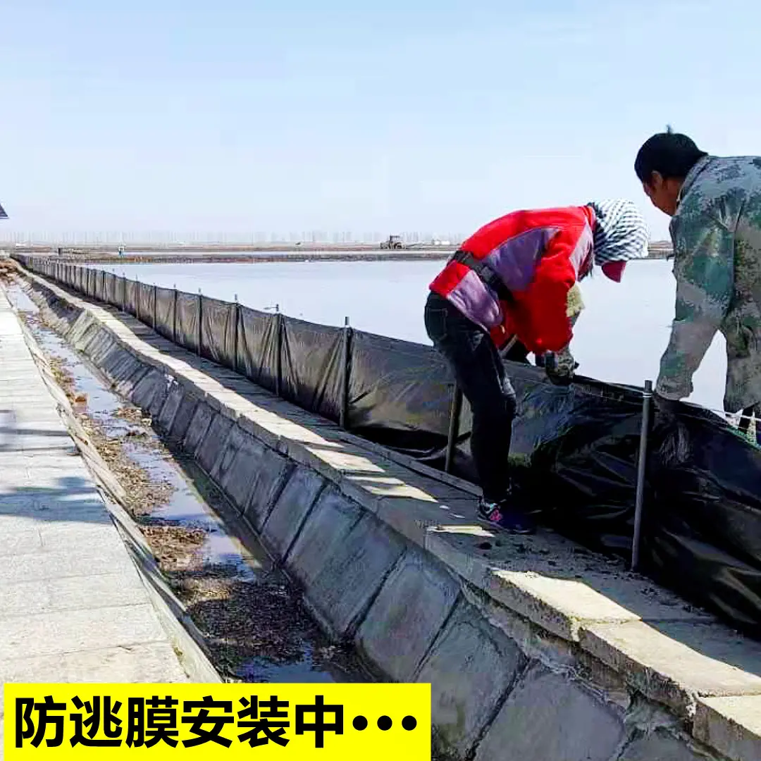 100米龙虾螃蟹养殖防逃膜小龙虾牛蛙蚯蚓甲鱼加厚青蛙防逃网围板
