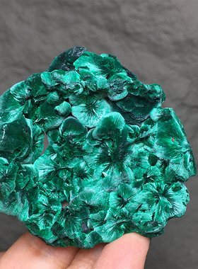 天然针状孔雀石原石原矿绿色标本猫眼丝绒收藏观赏石家居桌面摆件