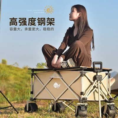 超轻便折叠小推车便携式四轮专用