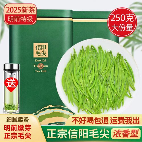 特级嫩芽信阳毛尖明前新茶