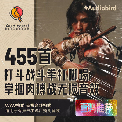 打斗战斗拳打脚踢骨折掌掴肉搏战无损音效有声书小说广播剧音效