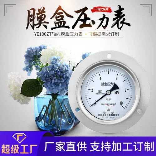 轴向带边膜盒压力表YE100ZT隔膜