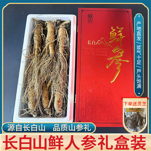 长白山新鲜人参礼盒东北鲜山参