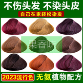 五倍子天然植物染发剂自然黑色板栗色纯自己在家染发膏2024流行色
