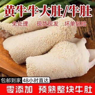 生牛肚商用牛大肚牛肚片黄牛肚火锅食材牛杂牛杂牛肚肉牛大胃水发