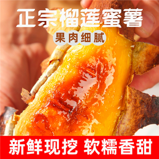 正品榴莲蜜薯新鲜红薯黄金蜜薯沙地地瓜糖心番薯软糯香甜玛莎莉5