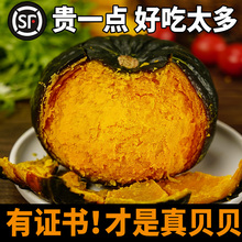 新鲜真贝贝小南瓜日本惠和一号正宗品婴儿板栗子味软糯粉甜旗舰店