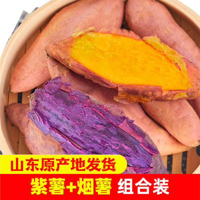 烟薯紫薯组合装山东原产地发货