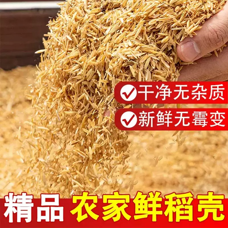 新鲜稻壳饲料东北原产地批发走量