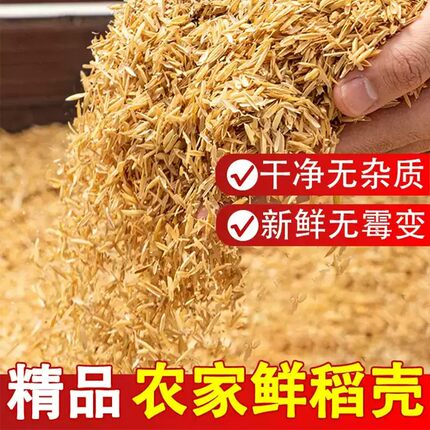 鲜稻壳北方优质新鲜水稻谷壳粗糠喂鸡枕头芯填充酿酒花卉营养土