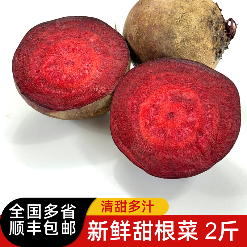 甜根菜2斤 紫菜头 新鲜蔬菜西餐摆盘装饰甜菜头大头菜包邮