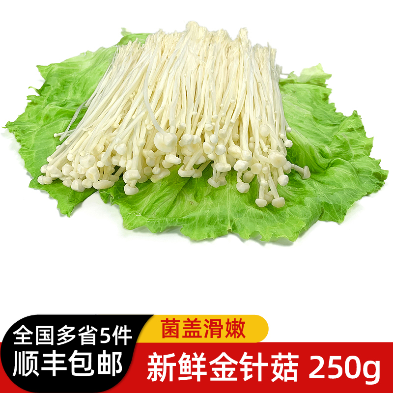 新鲜金针菇250g 时鲜菌类 凉拌烧烤蔬菜火锅素菜配菜麻辣烫食材 水产肉类/新鲜蔬果/熟食 新鲜松茸/菌菇 原图主图