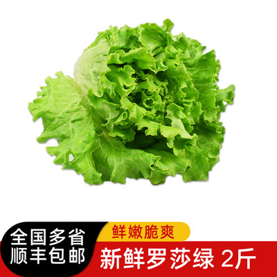 罗莎绿2斤 新鲜蔬菜沙拉食材绿叶生菜花边生菜西餐配菜 顺丰包邮