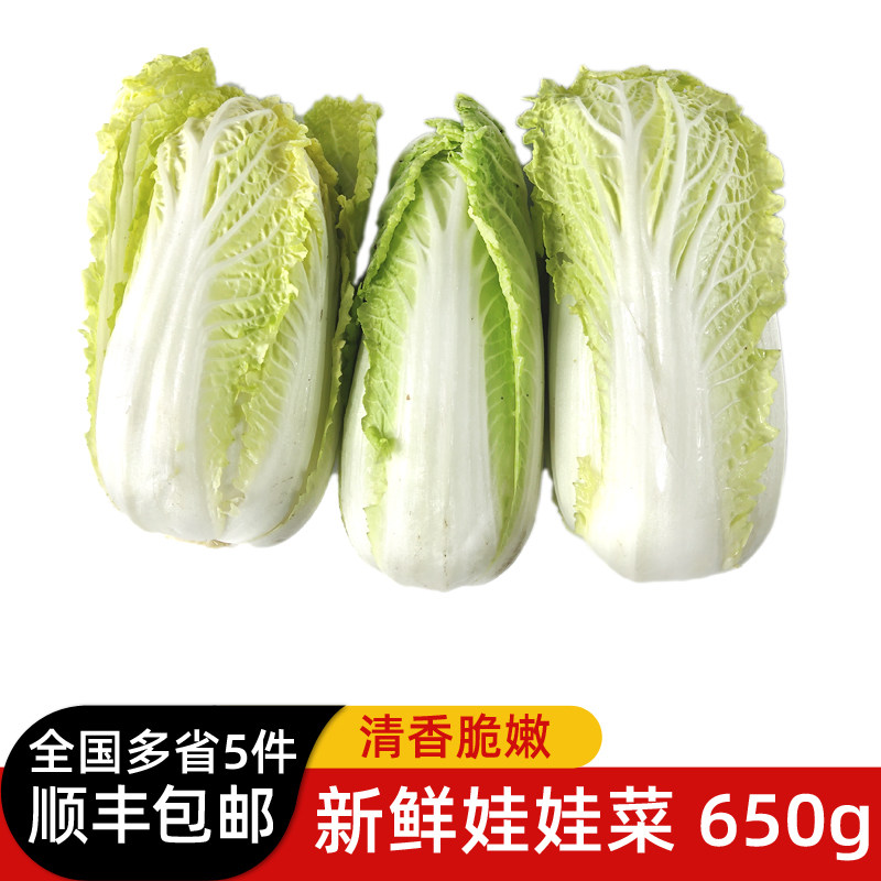 新鲜娃娃菜650g 新鲜蔬菜黄心小白菜火锅食材 江浙沪皖5件包邮