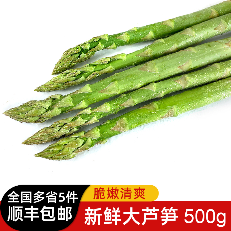 新鲜大芦笋500g 农家现摘新鲜蔬菜绿芦笋青芦笋凉拌菜食材龙须菜