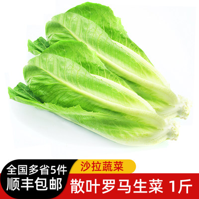 罗马生菜500g新鲜蔬菜沙拉食材