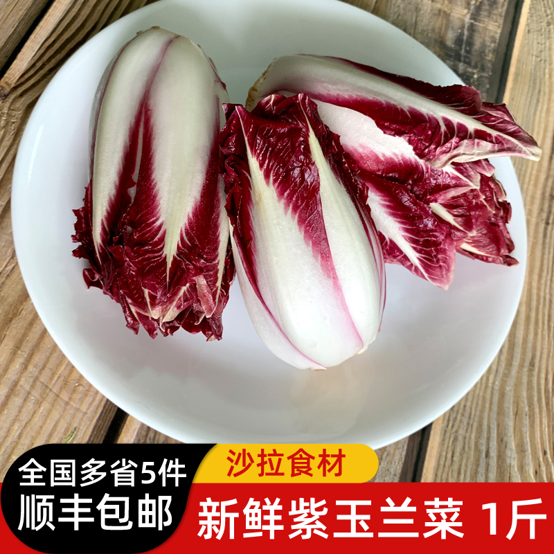 紫玉兰菜500g 新鲜蔬菜芽球菊苣chicory比利时沙拉西餐食材 水产肉类/新鲜蔬果/熟食 其它 原图主图