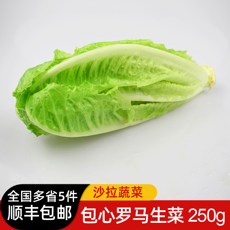 包心罗马生菜250g 绿色新鲜西餐蔬菜沙拉食材 全国多省5件包邮 水产肉类/新鲜蔬果/熟食 叶菜类 原图主图