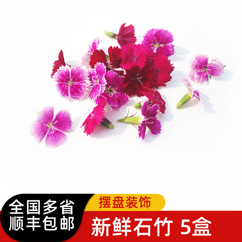 新鲜石竹花5g/盒30朵左右 石竹梅西餐酒店摆盘装饰花草 顺丰包邮