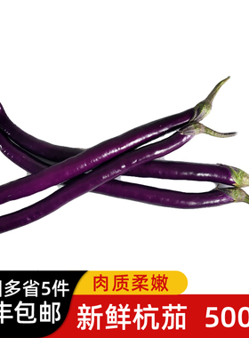 新鲜长茄子500g 杭茄 黑紫长线茄子 农家新鲜蔬菜 满5件包邮