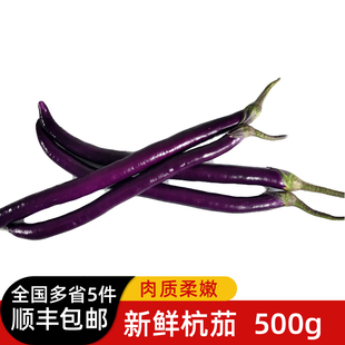 新鲜长茄子500g 杭茄 黑紫长线茄子 农家新鲜蔬菜 满5件包邮