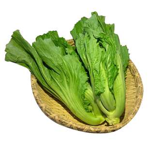 新鲜水东芥菜500g 脆爽芥菜盖菜 5件包邮