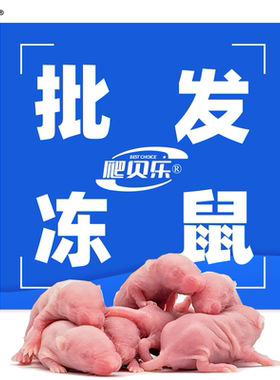 冷冻小白鼠论斤卖喂蛇苗角蛙猫粮爬宠饲料红皮粉皮白霜亚成