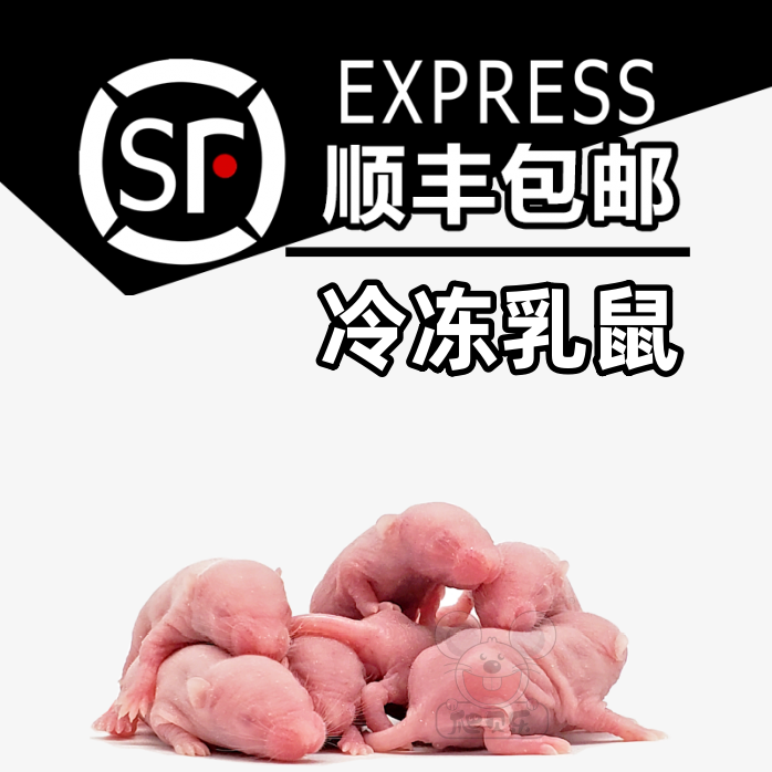 【顺丰包邮】冷冻乳鼠小白鼠喂蛇角蛙类爬宠虫粮红粉皮无菌