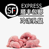冷冻乳鼠小白鼠喂蛇角蛙类爬宠虫粮红粉皮无菌 包邮 顺丰