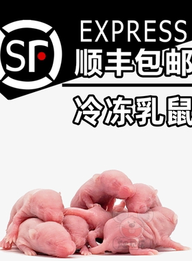 爬贝乐无菌冷冻小白乳鼠喂蛇爬宠