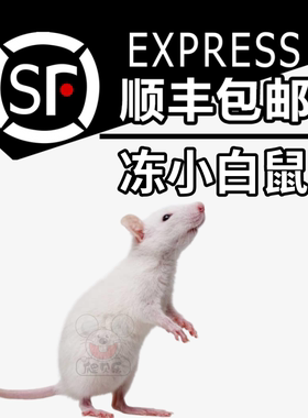 爬贝乐顺丰冷冻蛇粮小白鼠