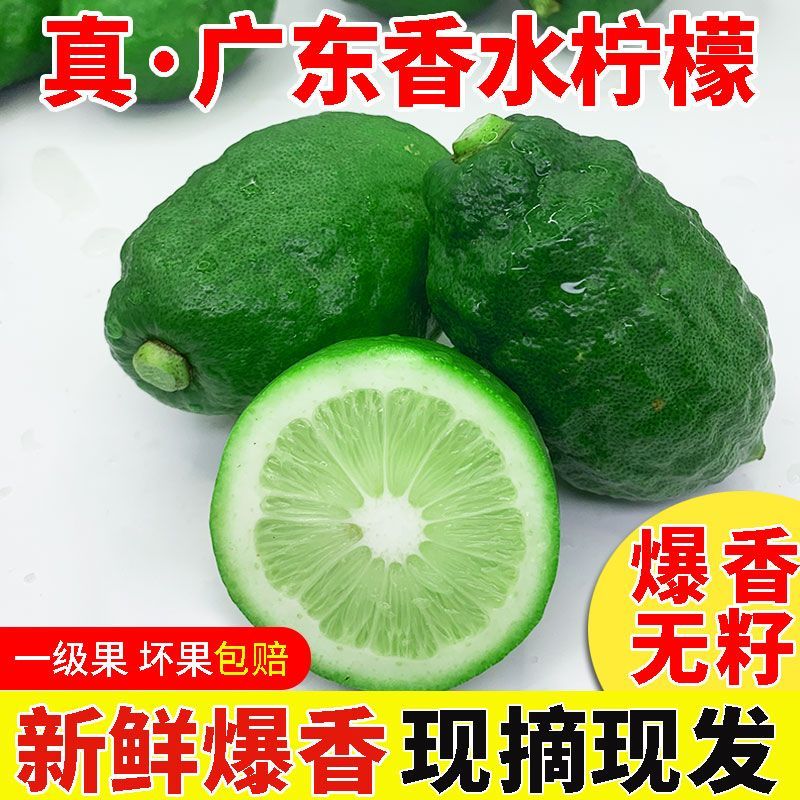 正宗广东香水柠檬一级果大果新鲜无籽奶茶店专用浓香型现摘现发