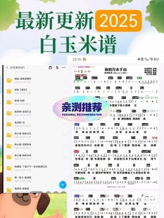 2025白玉米功能谱，跑场乐手专用谱，级数谱，键盘谱，酒吧演出谱