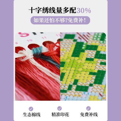 速发V2WS抱枕自己绣2021新款线绣来图照侣情刺手工片绣枕头